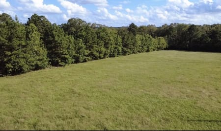 Woodville, TX 75979 Tyler County