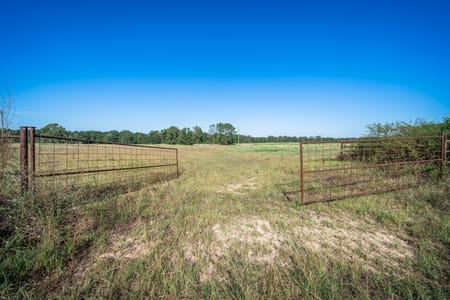Harleton, TX 75651 Harrison County