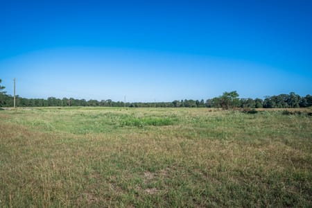 Harleton, TX 75651 Harrison County