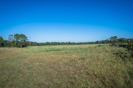 Harleton, TX 75651 Harrison County