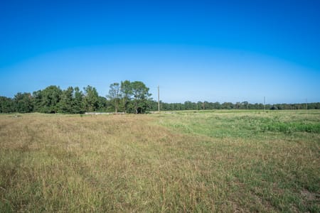 Harleton, TX 75651 Harrison County