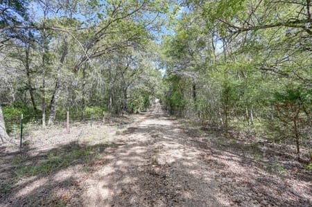 Bellville, TX 77418 Austin County