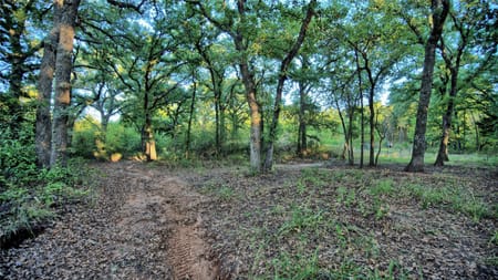 Montague, TX 76251 Montague County