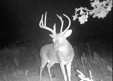Red Oak, OK 74563 Latimer County