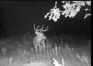 Red Oak, OK 74563 Latimer County