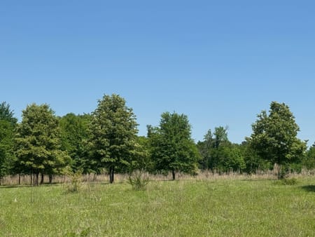 Palestine, TX 75801 Anderson County