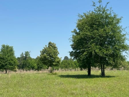 Palestine, TX 75801 Anderson County