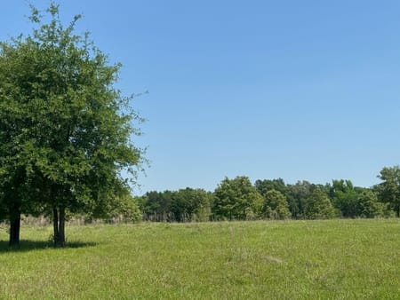 Palestine, TX 75801 Anderson County