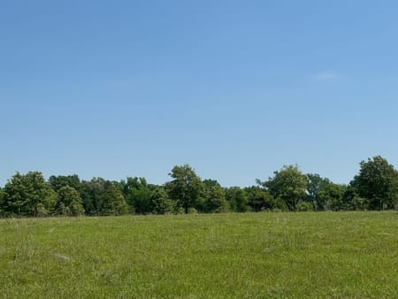Palestine, TX 75801 Anderson County