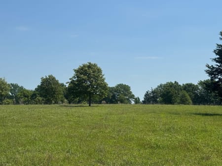 Palestine, TX 75801 Anderson County