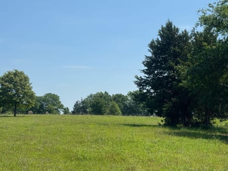 Palestine, TX 75801 Anderson County