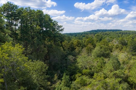 Palestine, TX 75803 Anderson County