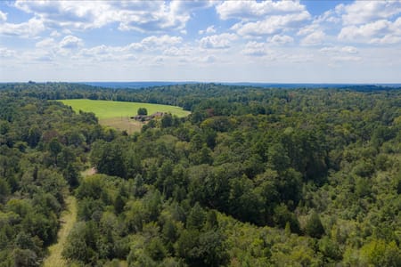 Palestine, TX 75803 Anderson County