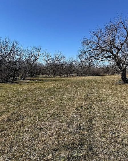Lueders, TX 79533 Jones County