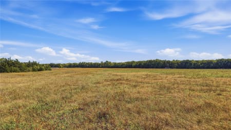 Bells, TX 75414 Grayson County