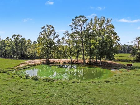 Conroe, TX 77302 Montgomery County