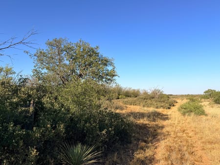 Paducah, TX 79248 Cottle County