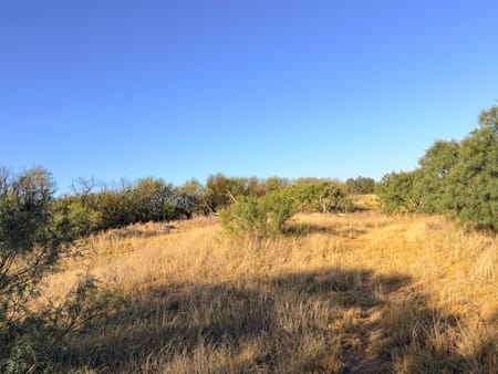 Paducah, TX 79248 Cottle County