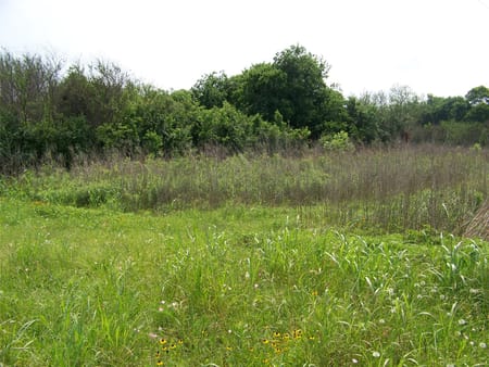 Brookshire, TX 77423 Waller County