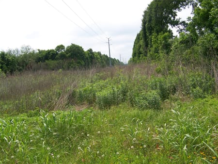 Brookshire, TX 77423 Waller County