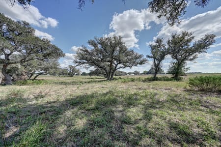 Hallettsville, TX 77964 Lavaca County