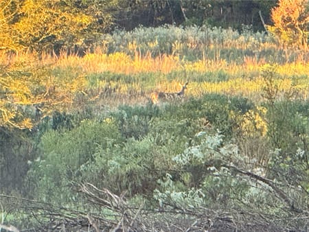 Moyers, OK 74557 Pushmataha County