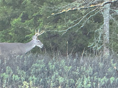 Moyers, OK 74557 Pushmataha County