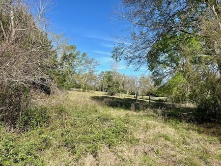 Jewett, TX 75846 Leon County