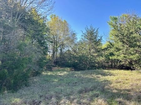 Jewett, TX 75846 Leon County