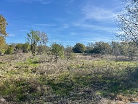Jewett, TX 75846 Leon County