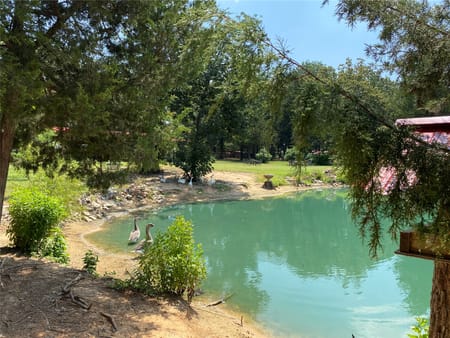 Ravenna, TX 75476 Fannin County