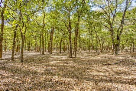 Grandview, TX 76050 Johnson County
