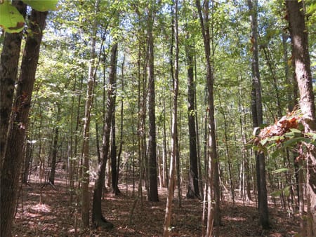 Garrison, TX 75946 Nacogdoches County