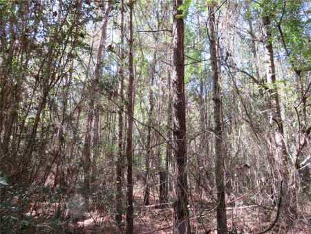 Garrison, TX 75946 Nacogdoches County