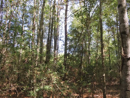 Garrison, TX 75946 Nacogdoches County