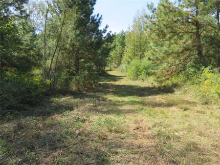 Garrison, TX 75946 Nacogdoches County