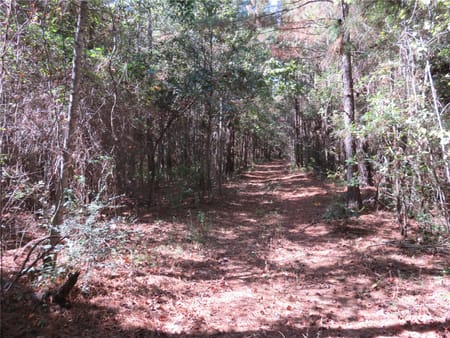 Garrison, TX 75946 Nacogdoches County