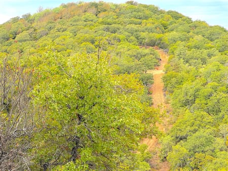 Jacksboro, TX 76458 Jack County
