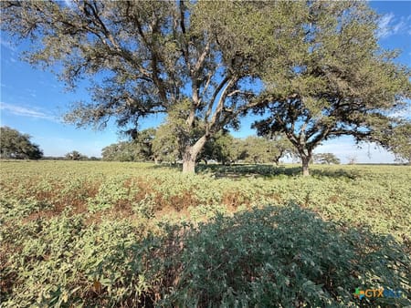 Yoakum, TX 77995 DeWitt County