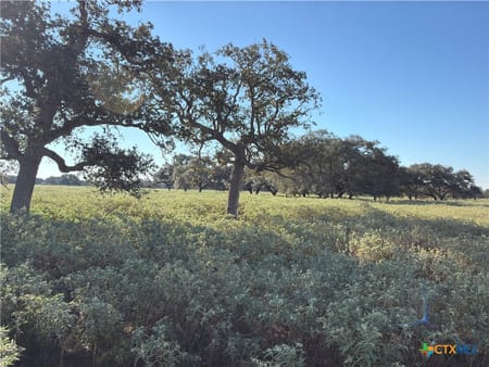 Yoakum, TX 77995 DeWitt County