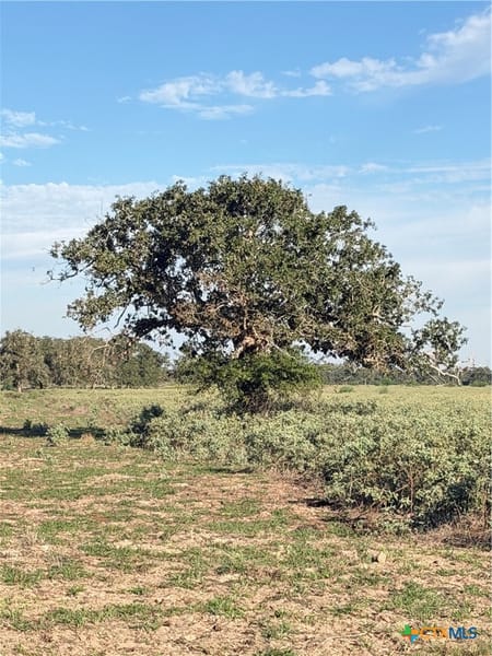 Yoakum, TX 77995 DeWitt County