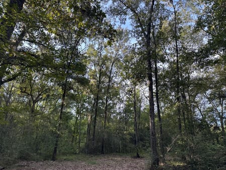 Shepherd, TX 77371 San Jacinto County