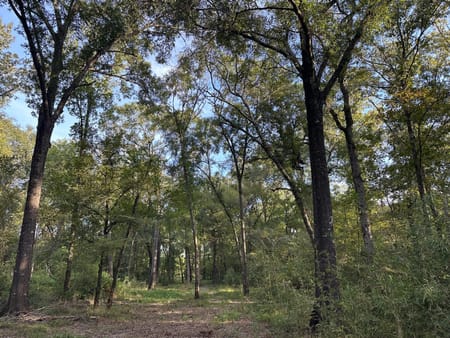 Shepherd, TX 77371 San Jacinto County