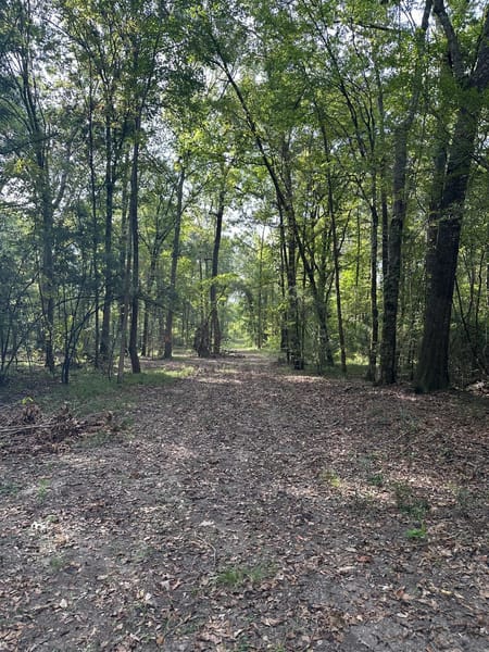 Shepherd, TX 77371 San Jacinto County