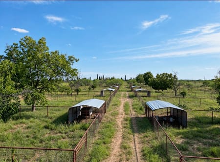 Richland Springs, TX 76871 San Saba County
