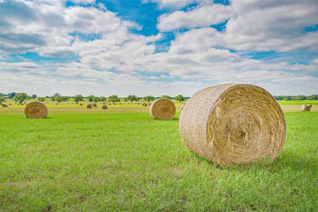 Bowie, TX 76230 Montague County