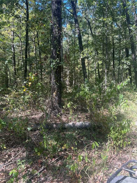 Sarepta, LA 71071 Webster Parish