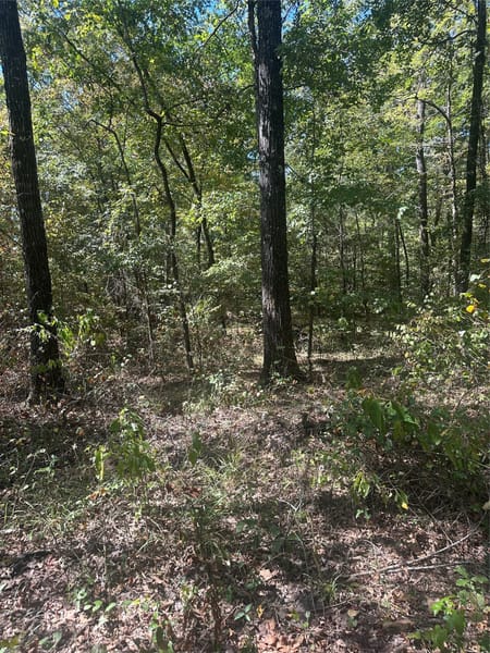 Sarepta, LA 71071 Webster Parish