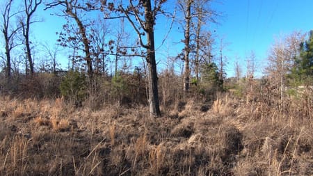 Shreveport, LA 71118 Caddo Parish