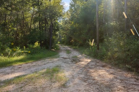 Conroe, TX 77306 Montgomery County